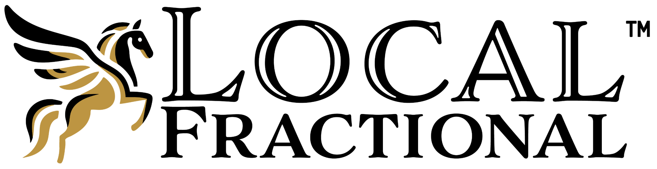 Denver Fractional CFO by Local Fractional LLC